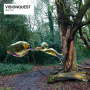 Visionquest - Fabric 61