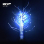 Riopy - Tree of Light