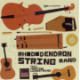 Rhodondendron String Band - Keep Up the Sunny Side