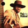 Mahal, Taj - Worlds Blues