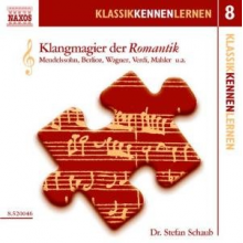 Schaub, Stefan - Klangmagier Der Romantik Vol.8