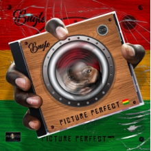 Bugle - Picture Perfect