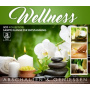 V/A - Wellness - Abschalten & Genieben