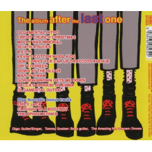 Toy Dolls - Album After the Last One