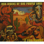 New Riders of the Purple Sage - 17 Pine Avenue