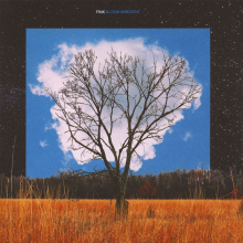 Fink - Bloom Innocent