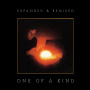 Bruford, Bill - One of a Kind