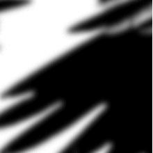 N - Ravens