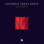 Ensemble Fawaz Baker - Alep-Brest