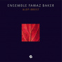 Ensemble Fawaz Baker - Alep-Brest