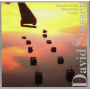 Slusser, David - Delight At the End of the Tunnel
