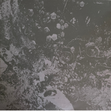 Primitive Man - Split