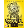 Documentary - An Accidental Studio