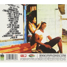 Virgo, Romain - System