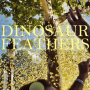 Dinosaur Feathers - Whistle Tips