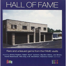 V/A - Hall of Fame
