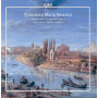 Minasi, Riccardo - Violin Concerto & Overtures Vol.2