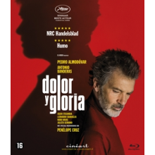 Movie - Dolor Y Gloria
