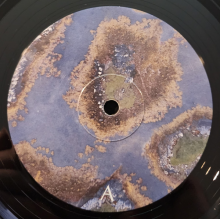 Ronald, Graeme Jd - Danielle