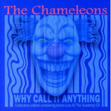 Chameleons - Why Call It Anything