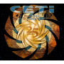 Ceti - From Vault To Universe