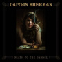 Sherman, Caitlin - Death To the Damsel