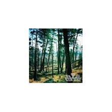 Mind Over Mirrors - High & Upon