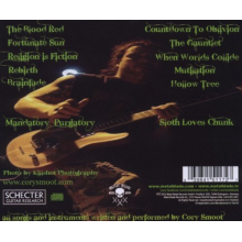 Cory Smoot Experiment - When Worlds Collide