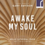 Davison, G. - Awake My Soul