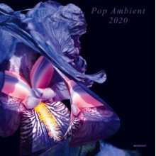 V/A - Pop Ambient 2020