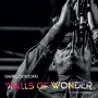 Dzidzonu, Daniel - Walls of Wonder