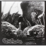 Gurnemanz - No Rays of Noise