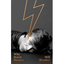 Bowie, David - Why Bowie Matters