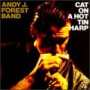 Forest, Andy J. -Band- - Cat On a Hot Tin Harp