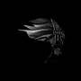 Boyd, Moses - Dark Matter