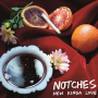 Notches - New Kinda Love
