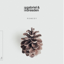 Gabriel & Dresden - Remedy