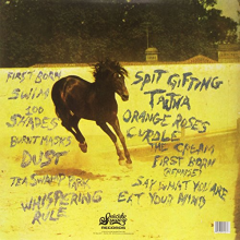 Nu Sensae - Sundowning