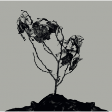 Innerwoud - Split (10")