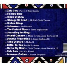 Boykins, Jesse -Iii- - Zulu Guru