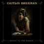 Sherman, Caitlin - Death To the Damsel