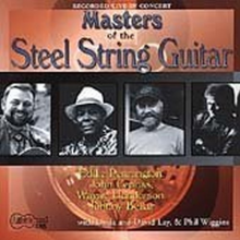 V/A - Masters of the Steel String Guitar