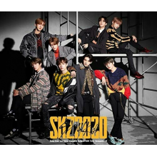 Stray Kids - Skz2020