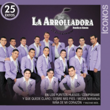 Arrolladora Banda El Limon De Rene Camacho - Iconos / 25 Exitos