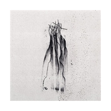 Nordvargr - Daath