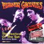 Flamin' Groovies - Live At the Festival of the Sun