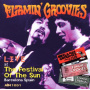 Flamin Groovies - Live At the Festival of the Sun