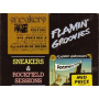 Flamin' Groovies - Sneakers/Rockfield Sessions