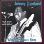 Copeland, Johnny - Working Man's Blues