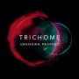 Trichome - Unknown Prophet